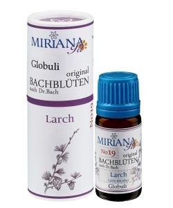 Mélèze - Larch 19 Fleur de Bach pour animaux, 10 g